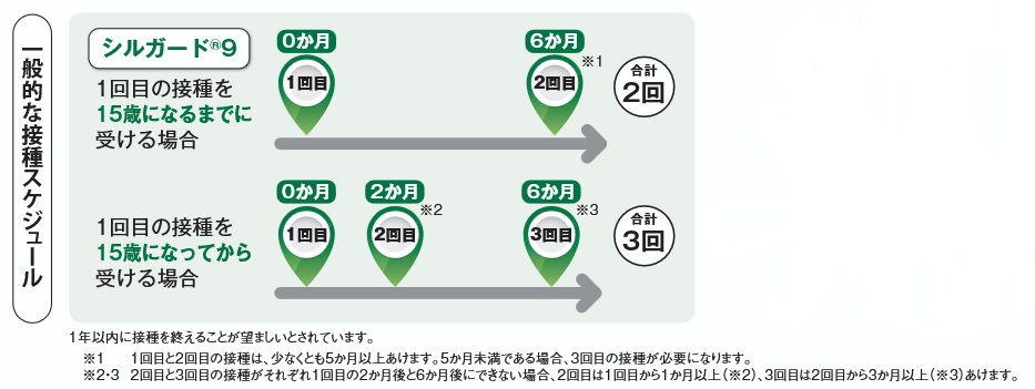 一般的な接種スケジュール